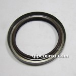 发动机曲轴前油封1005090